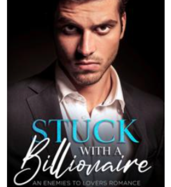 Stuck with a Billionaire By  Noelle Stone